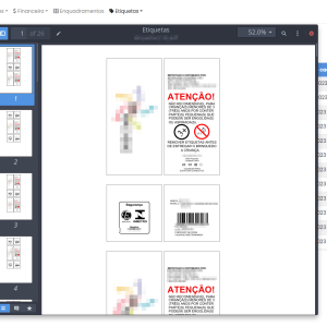 PDF impresso com os vários modelos de etiqueta dos produtos - Sistema web - Facility Certificação